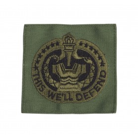 US Army Drill Sergeant Identification Badge "This we'll Defend"