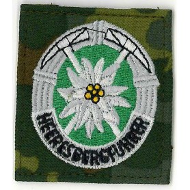 BW Abzeichen Heeresbergführer farbig auf tarn